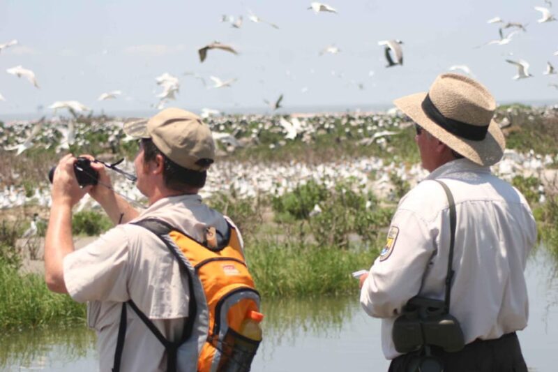 Day Trip from Boston: Guided Nature Walk at Crane Estate - What Could Be Improved?