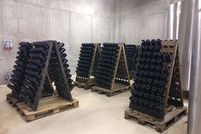 Day trip from Bratislava: Winery Tour with Wine Tasting in the Countryside - Introduction to the Small Carpathian Wine Region