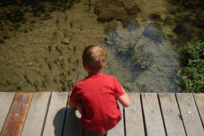 Day Trip from Dubrovnik to Krka waterfalls - Dubrovnik to Krka Waterfalls Day Trip: A Practical Guide to Croatia’s Natural Wonder