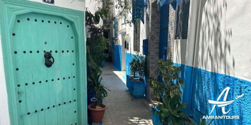 Day trip from Gibraltar to Morocco All Inclusive - Who Will Love This Tour?