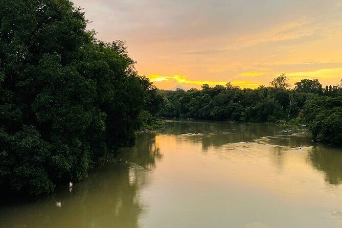 Day Trip from Goa to Anshi National Park (Kali Tiger Reserve) - What Travelers Say: Authentic Insights