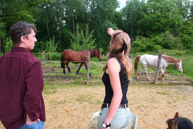 Day Trip from Paris - French Food, Rural Experiences & Horses! - The Sum Up