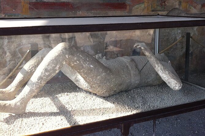 Day trip from Rome to Pompei Mt Vesuvius & Local Guide included - Who Should Book This Tour?