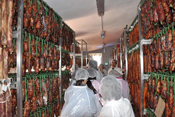 Day Trip from Sevilla to Aracena and la Gruta de las Maravillas - Key Points