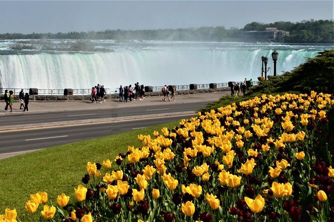 Day-Trip from Toronto to Niagara Falls with skip-the-line boat - The Itinerary in Detail