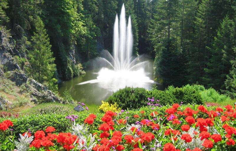 Day Trip from Vancouver to Victoria and Butchart Gardens - What to Expect on Your Tour