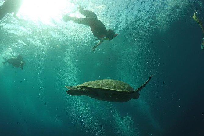 Day Trip Gili Trawangan, Gili Meno, Gili Air (Depart Lombok) - FAQ Section