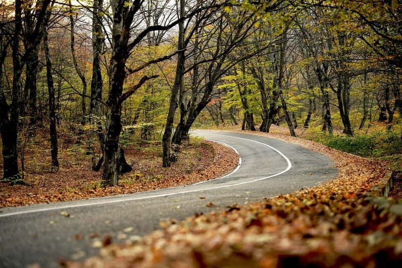 Day trip in Kakheti-Beauty and Love in a Glass Wine - Practical Details and Value