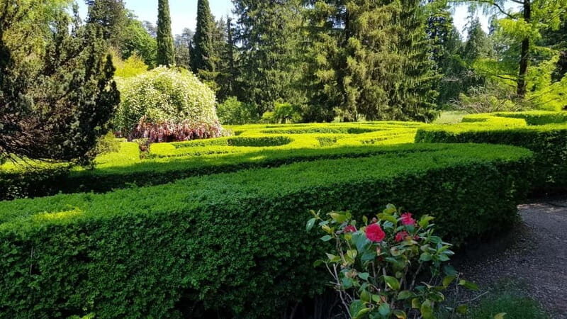 Day trip in Kakheti-Beauty and Love in a Glass Wine - FAQ