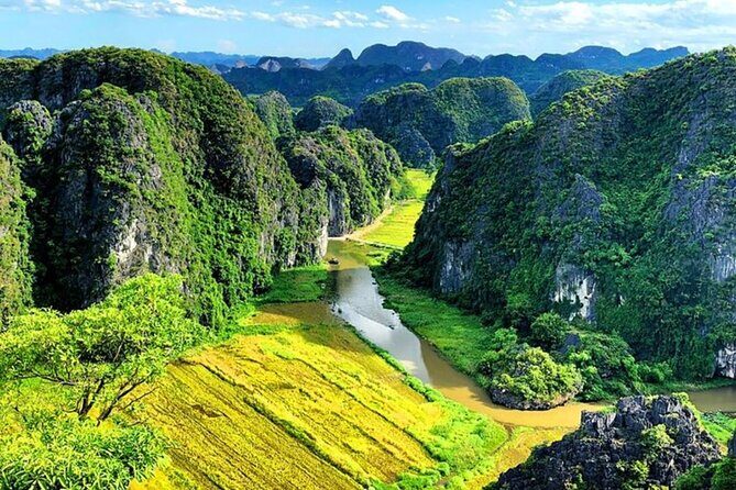 Day Trip in Ninh Binh Tour from Hanoi - The Detailed Experience: What to Expect on Your Ninh Binh Day Trip