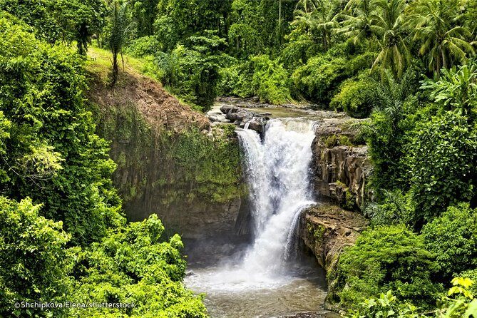 Day Trip Kintamani Volcano Downhill Cycling Tegenungan Waterfall - What Real Travelers Say