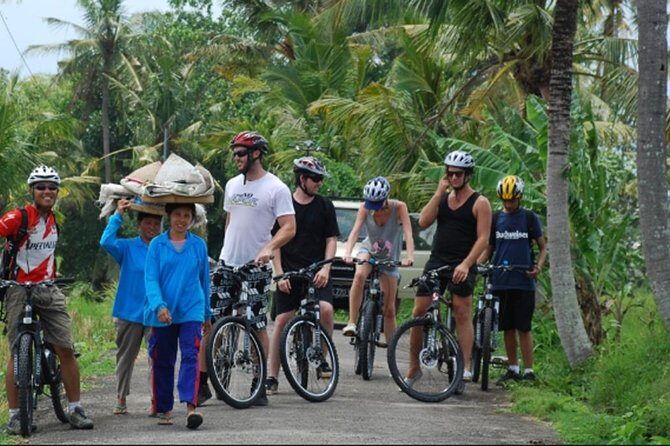 Day Trip Kintamani Volcano Downhill Cycling Tegenungan Waterfall - Who would enjoy this tour most?
