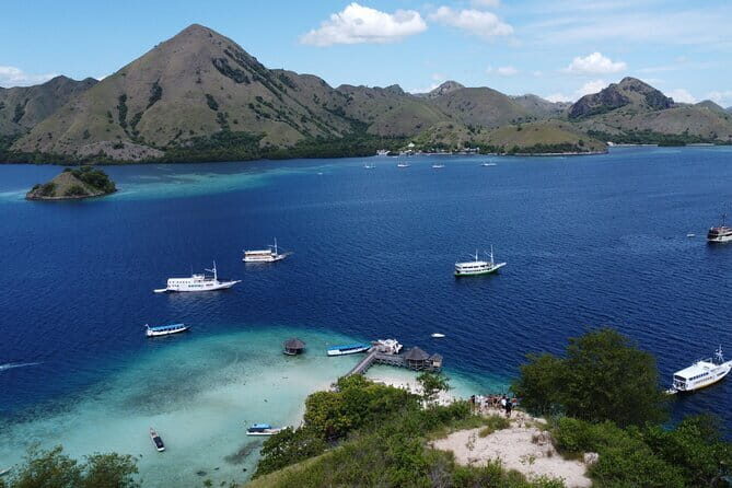 Day Trip Komodo Island With Speedboat in Labuhan Bajo - An In-Depth Look at the Komodo Island Day Trip