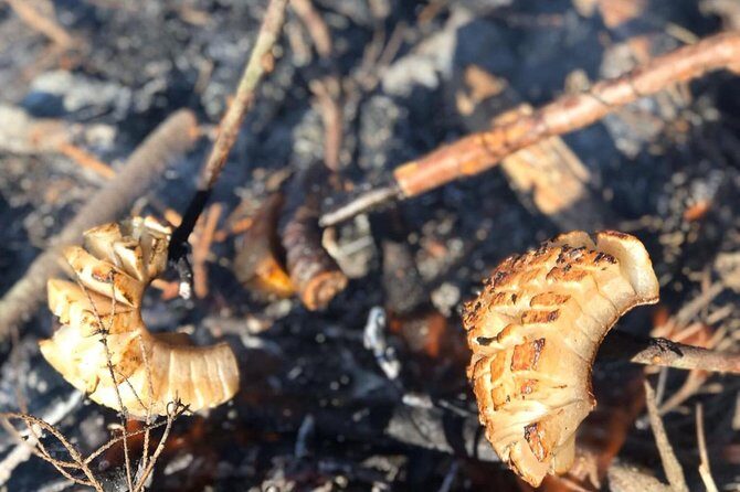 Day trip on Quad ATV - Transylvanian outdoor adventure - Frequently Asked Questions