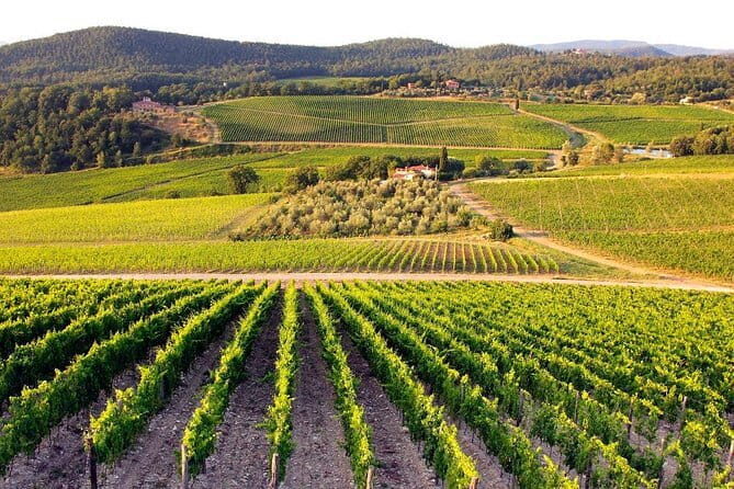 Day Trip Pisa, Siena, San Gimignano. - Introduction: Why This Day Trip Stands Out