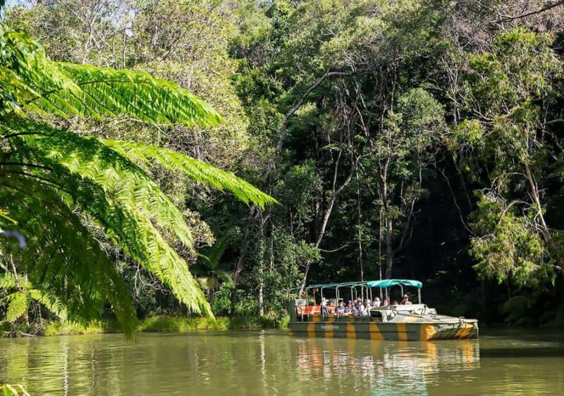 Day Trip: Rainforest & Aboriginal Culture Tour - Experience Quality and Guide Expertise