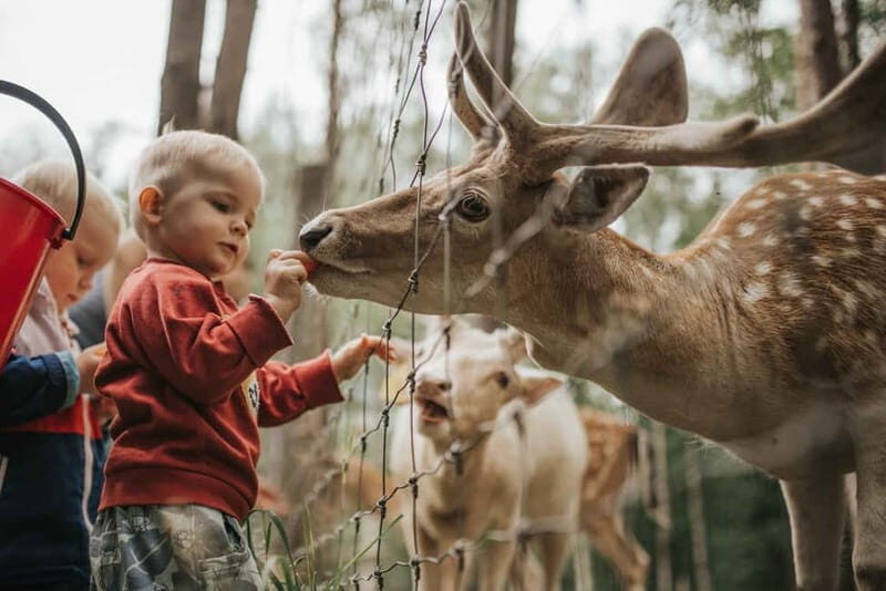 Day trip Riga - Sigulda, the 'Switzerland of Latvia' - Who Will Love This Tour?