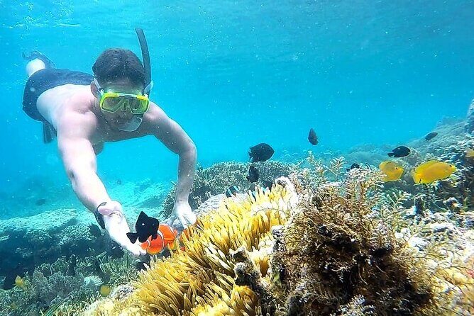 Day Trip Secret Island West Of Lombok - Key Points