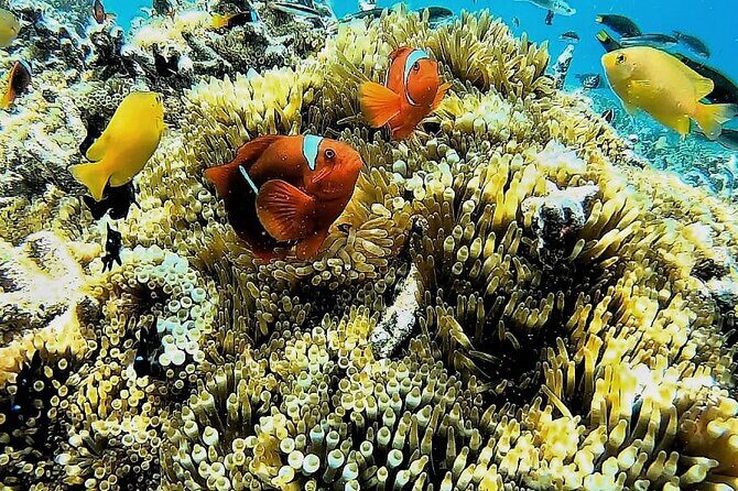 Day Trip Secret Island West Of Lombok - Final Thoughts