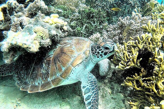 Day Trip Secret Island West Of Lombok - FAQs