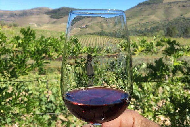 Day Trip Through the Enchanting Douro Valley #DuckSideOfPorto - An In-Depth Look at the Tour