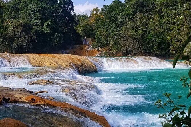 Day Trip to Agua Azul Waterfalls and Palenque from San Cristobal - What Past Travelers Say