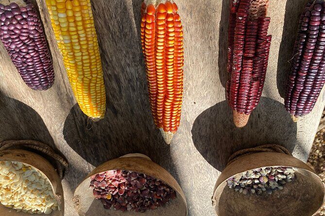 Day trip to Chichen Itza and the Mayan shrine and bath in cenote - Who Is This Tour Best Suited For?