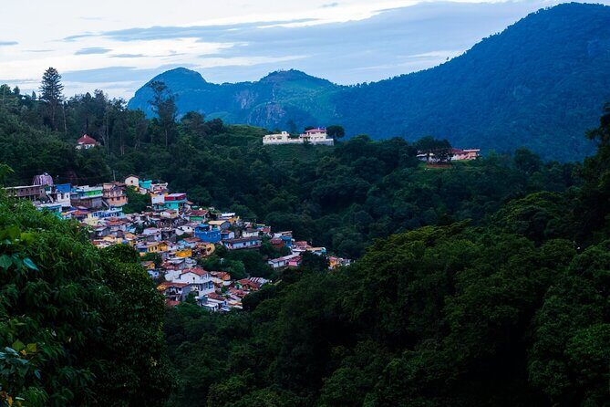 Day Trip to Coonoor (Guided Sightseeing Tour by Car from Ooty) - The Itinerary: What You’ll Really Experience