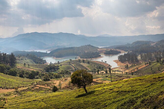 Day Trip to Coonoor (Guided Sightseeing Tour by Car from Ooty) - Who Will Love This Tour?