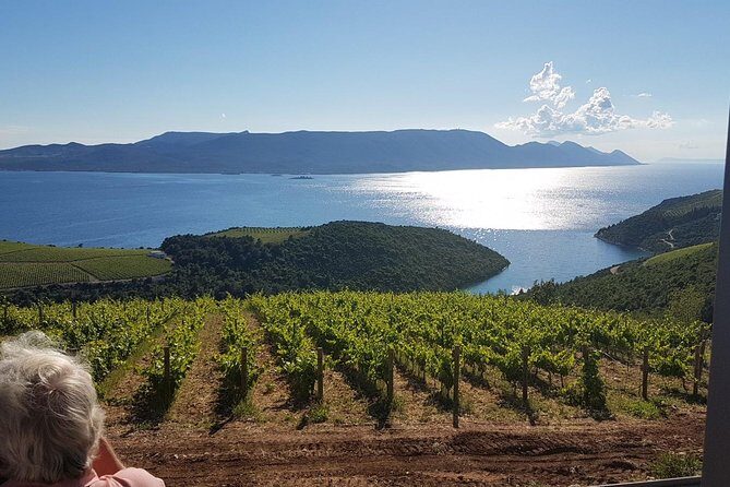 Day Trip to Dubrovnik From Split - Insights from Reviews