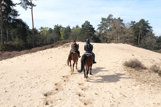 Day Trip to Fontainebleau : Horse Riding, Gastronomy and Castle - The Sum Up