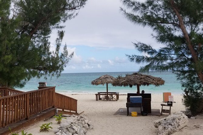 Day Trip To Freeport, Grand Bahama - Tickets only - Who this tour suits best
