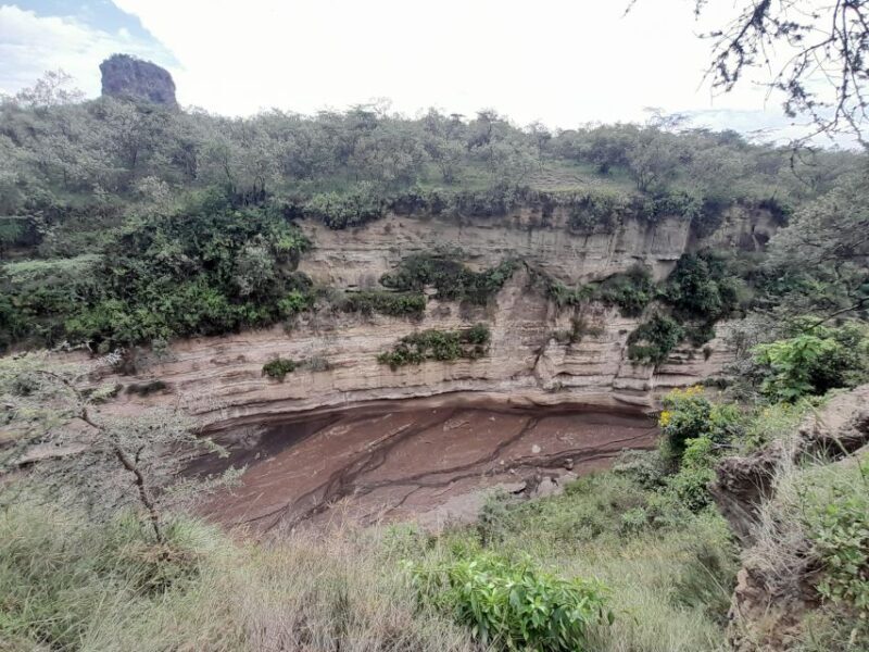 Day trip to Hells gate and Lake Naivasha - Who Is This Tour Best For?