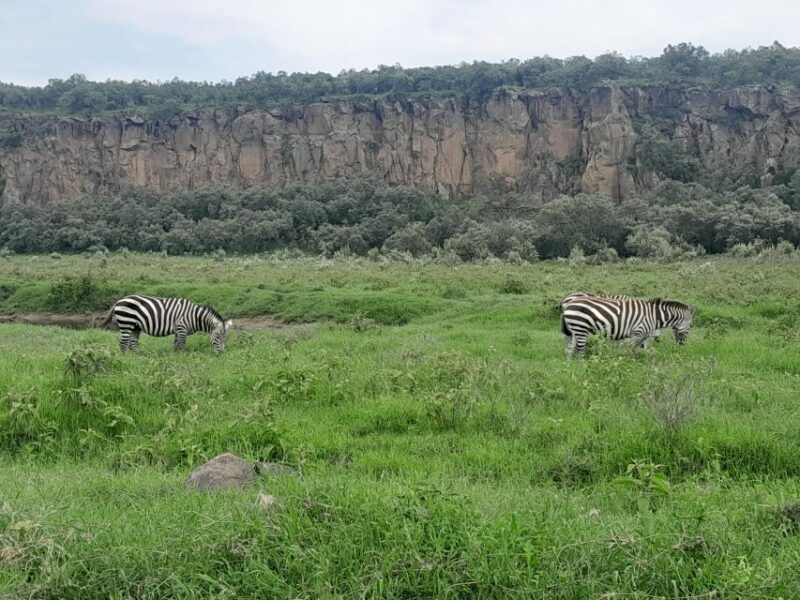Day trip to Hells gate and Lake Naivasha - The Sum Up