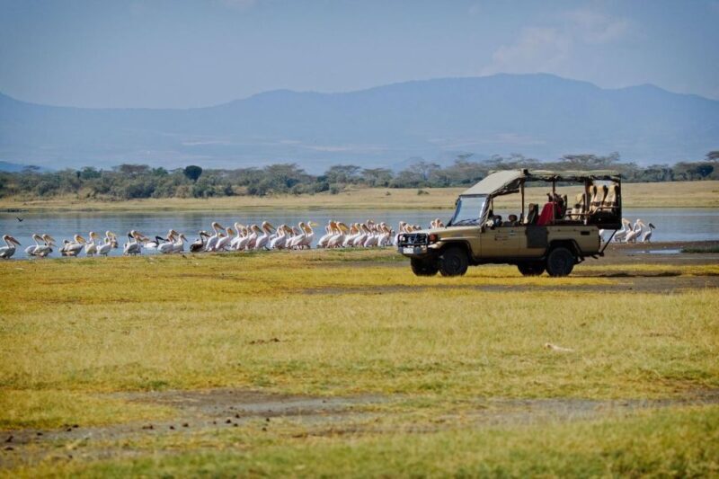 Day trip to Hells gate and Lake Naivasha - FAQ