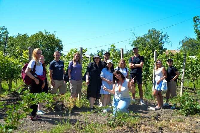 Day Trip to Kakheti Wine Region Including Seven Wine Tastings - Frequently Asked Questions (FAQs)