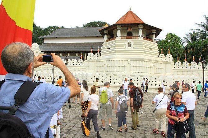 Day Trip to Kandy with Kingfisher Tours - Key Points