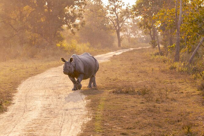 Day Trip to Kaziranga National Park (Guided Private Tour from Guwahati) - Frequently Asked Questions