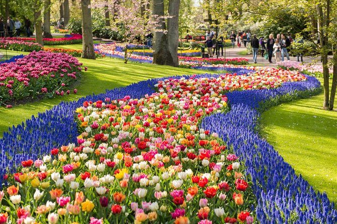 Day Trip to Keukenhof Gardens from Amsterdam with Tour Guide - The Practicalities of the Tour