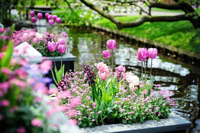 Day Trip to Keukenhof Gardens from Amsterdam with Tour Guide - Value for Money: Is It Worth It?