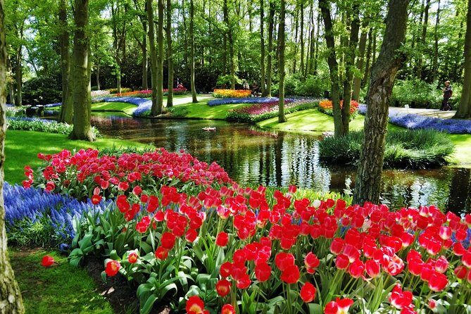 Day Trip to Keukenhof Gardens from Amsterdam with Tour Guide - Who Should Book This Tour?