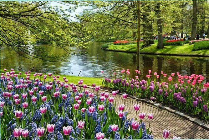 Day Trip to Keukenhof Gardens from Amsterdam with Tour Guide - The Sum Up