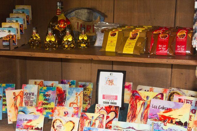 Day Trip to La Paz & Balandra Beach from Cabo San Lucas - Real Experiences: What Travelers Say