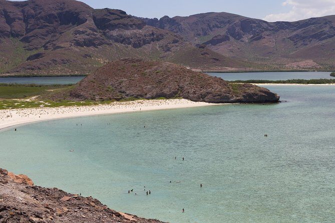Day Trip to La Paz & Balandra Beach from Cabo San Lucas - Who Will Love This Tour?