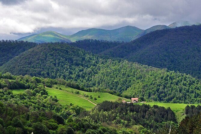 Day Trip to Lake Sevan, Dilijan, Ijevan Wine Brandy Factory - Final Thoughts