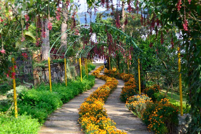 Day Trip to Mawlynnong (Guided Private Sightseeing Experience from Shillong) - Exploring Mawlynnong: A Private Day Trip from Shillong