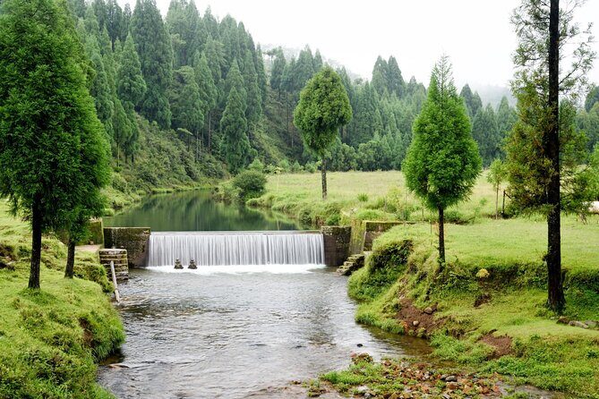 Day Trip to Mawlynnong (Guided Private Sightseeing Experience from Shillong) - Is It Worth the Price?