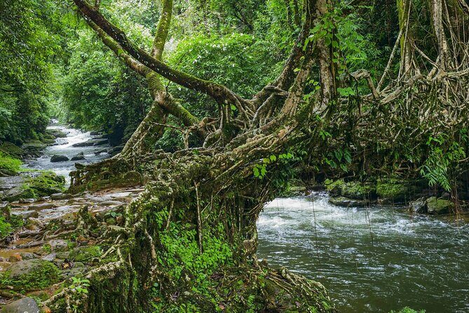 Day Trip to Mawlynnong (Guided Private Sightseeing Experience from Shillong) - Practical Tips & Considerations