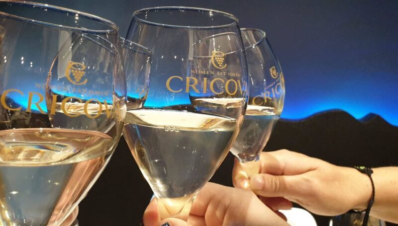 Day trip to Moldova - visit Chisinau and Cricova Winery - Who Would Enjoy This Tour?