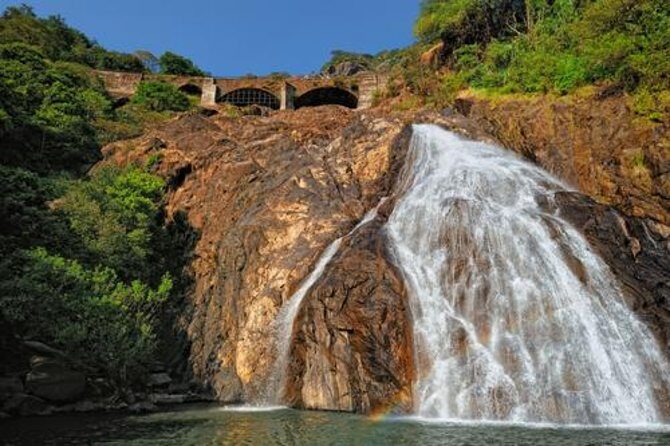 Day Trip to Mollem National Park Including Dudhsagar Falls and Jeep Safari from Goa - A Detailed Look at the Tour Experience